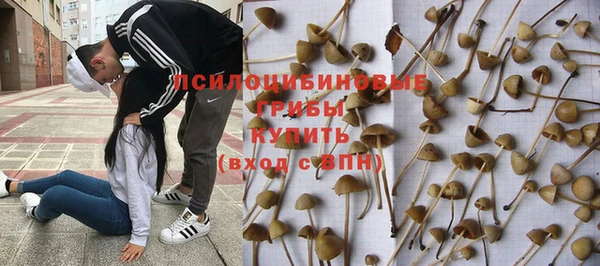 стафф Володарск